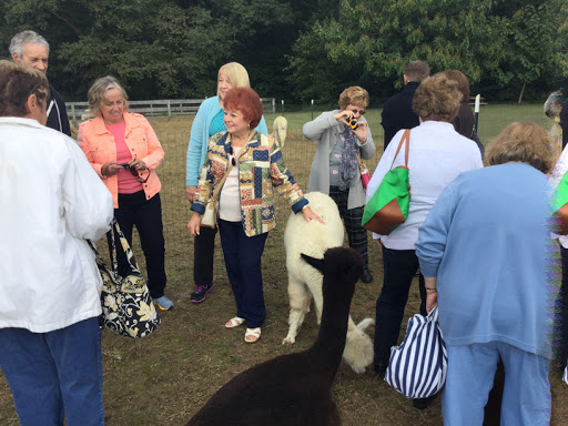 Farm «Painted Sky Alpaca Farm & Fiber Mill», reviews and photos, 95 Knight House Ln, Earleville, MD 21919, USA