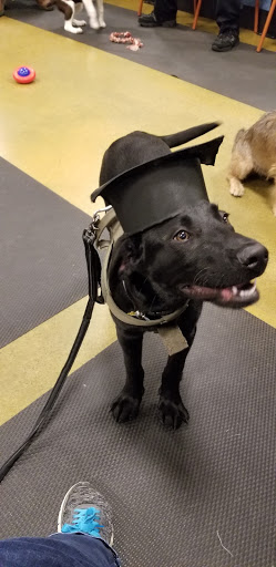 Pet Supply Store «PetSmart», reviews and photos, 9589 Ridgetop Blvd NW, Silverdale, WA 98383, USA