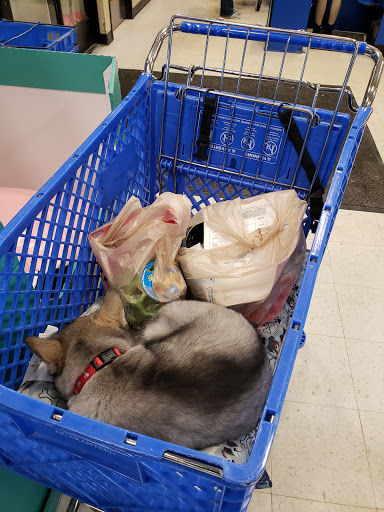 Pet Supply Store «PetSmart», reviews and photos, 825 Pilgrim Way, Green Bay, WI 54304, USA