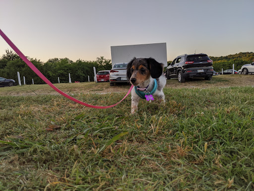Drive-in Movie Theater «Stardust Drive In Theatre», reviews and photos, 310 Purple Tiger Dr, Watertown, TN 37184, USA