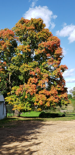 Orchard «Deardorff Orchards», reviews and photos, 8282 Parley Lake Rd, Waconia, MN 55387, USA