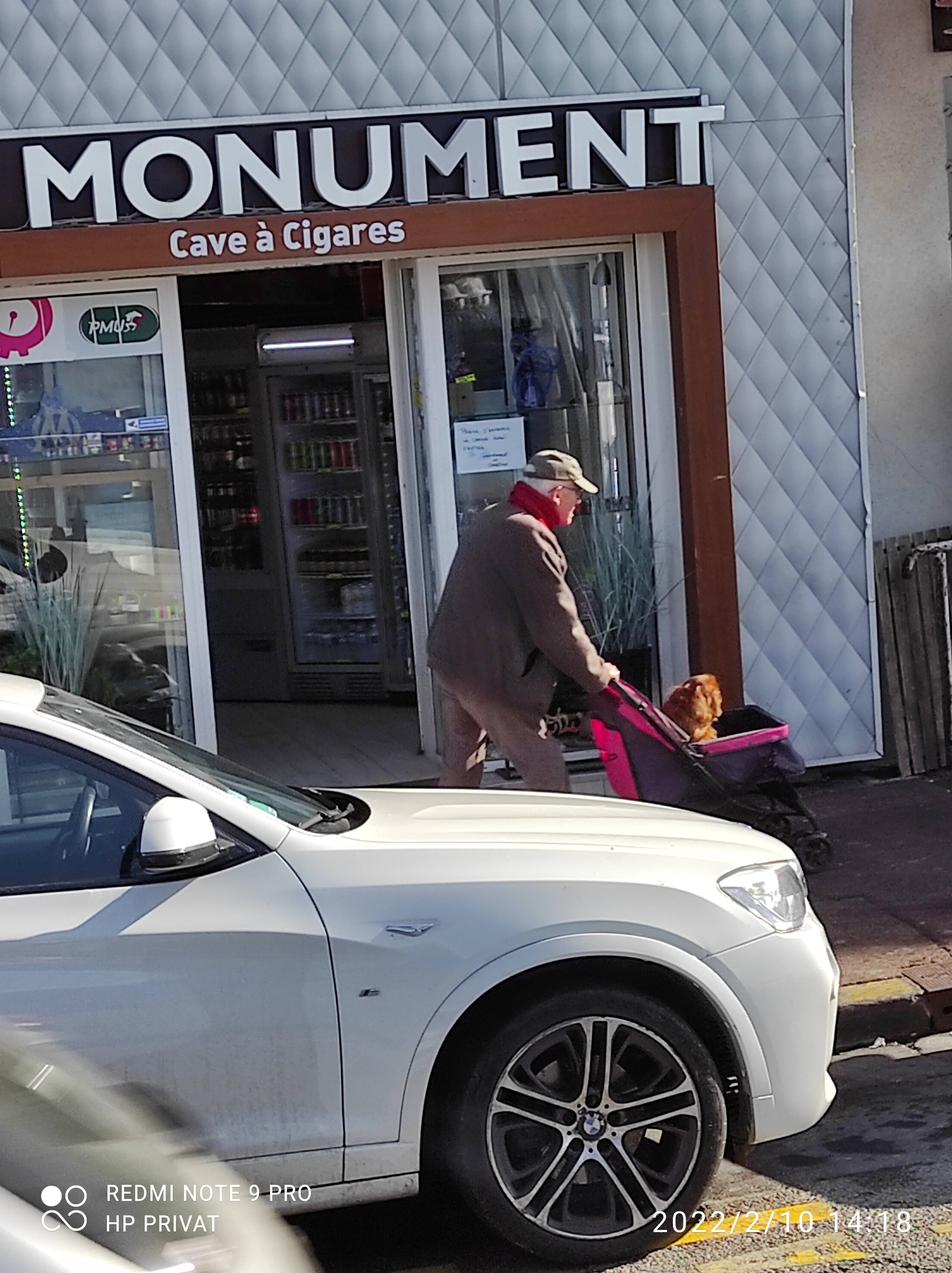 Photo n° 2 de l'avis de Horst.e fait le 14/02/2022 à 18:15