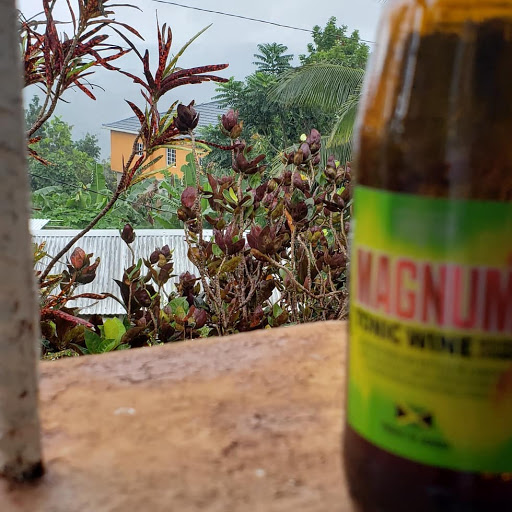 Health Food Store «Green Garden Health Food», reviews and photos, 3543 White Plains Rd #212, Bronx, NY 10467, USA