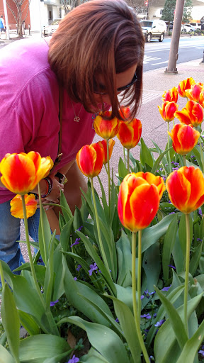 Museum «Old State House Museum», reviews and photos, 300 W Markham St, Little Rock, AR 72201, USA