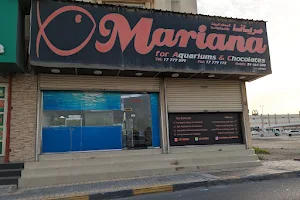 Mariana for Aquariums & Chocolates مريانا لأسماك الزينة image