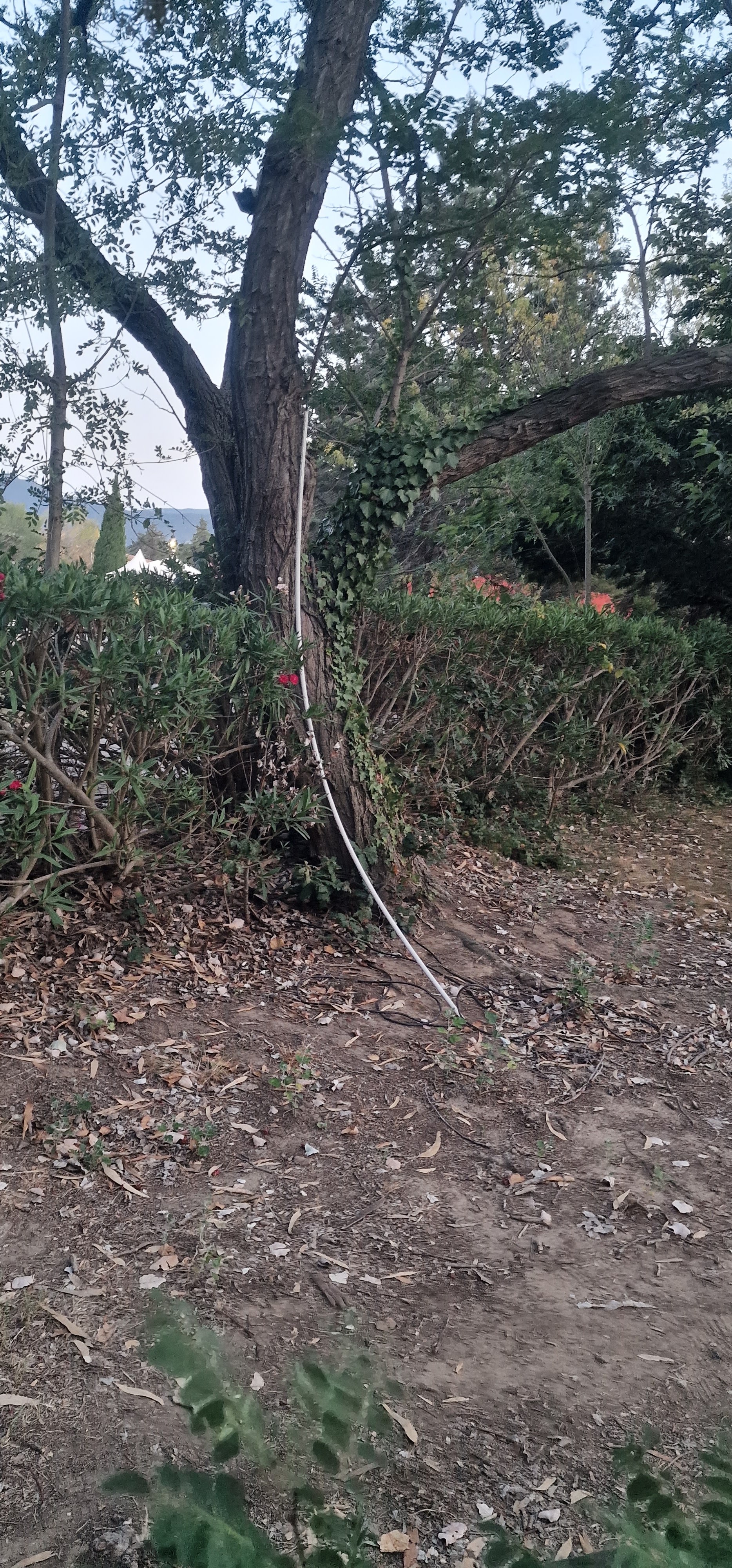 Photo n° 7 de l'avis de Mélina. fait le 22/07/2023 à 18:49