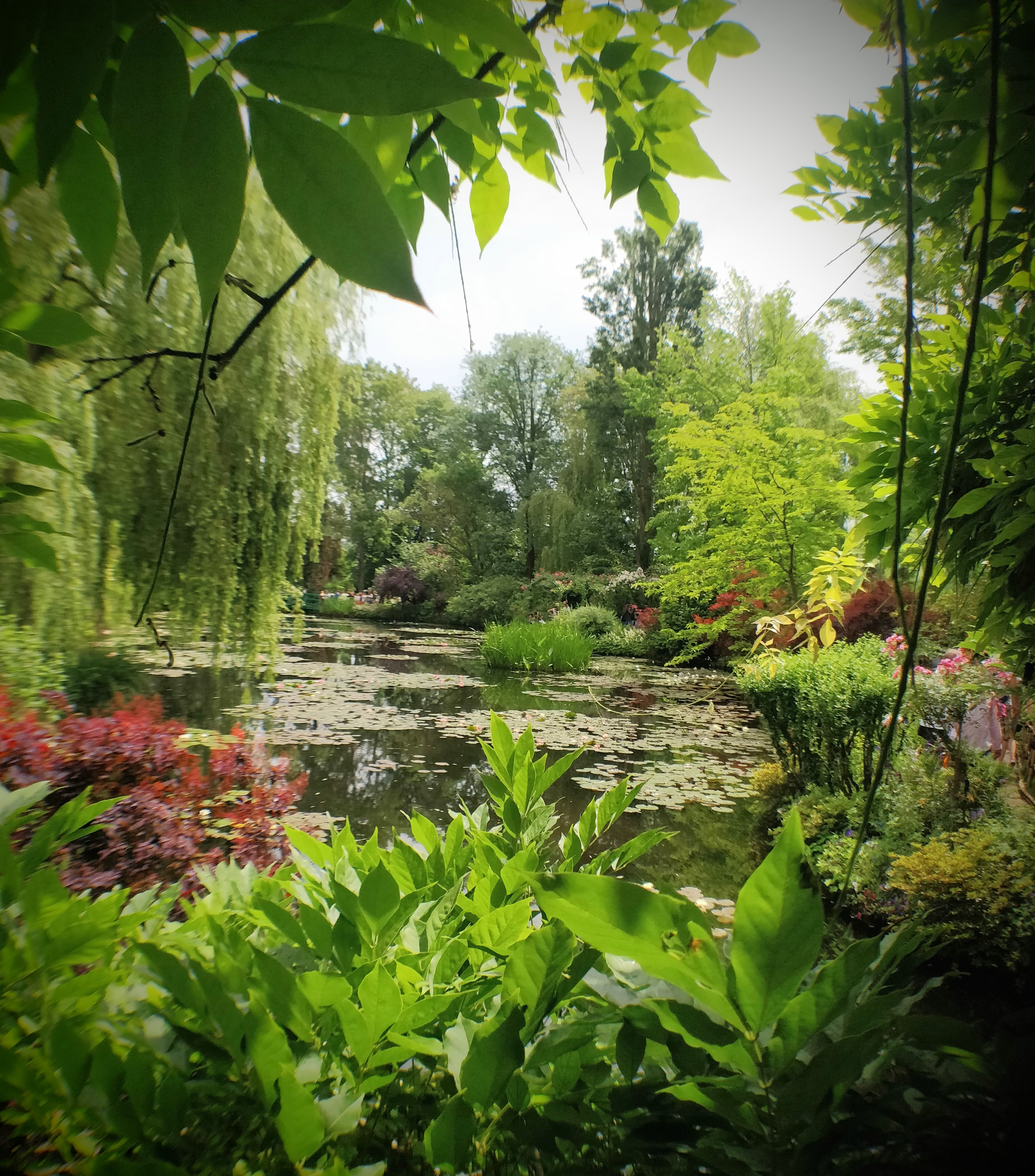 Photo n° 6 de l'avis de Arno.o fait le 16/08/2019 à 09:25