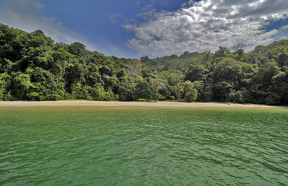 Tropic Star Beach的照片 带有碧绿色纯水表面