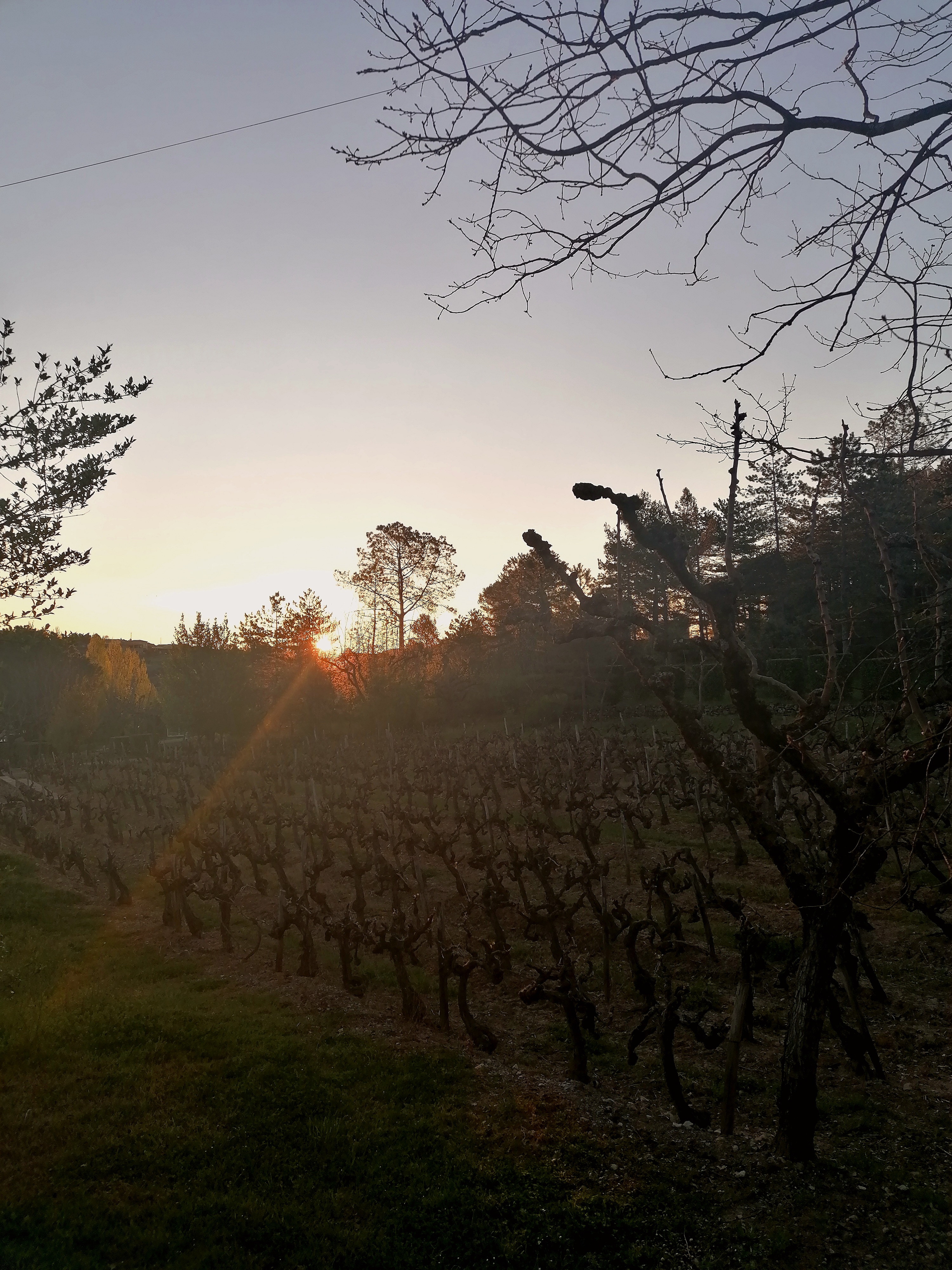 Photo n° 4 de l'avis de julie.o fait le 01/10/2020 à 09:44