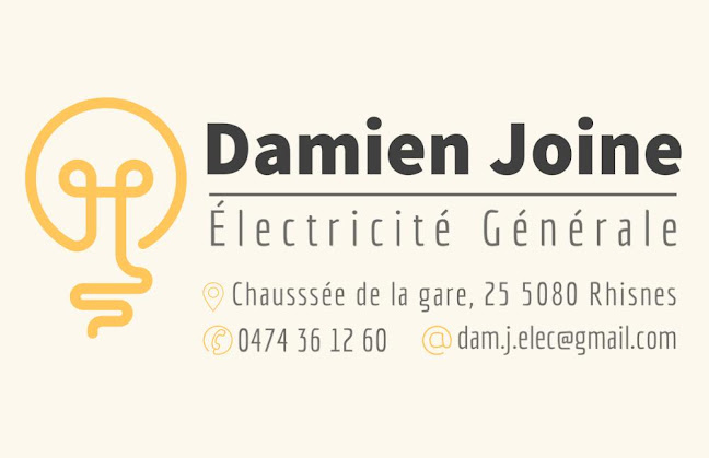 Beoordelingen van Damien Joine Électricité Générale in Namen - Elektricien