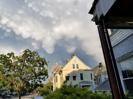 Park «Edgewood Park», reviews and photos, Edgewood Ave, New Haven, CT 06511, USA