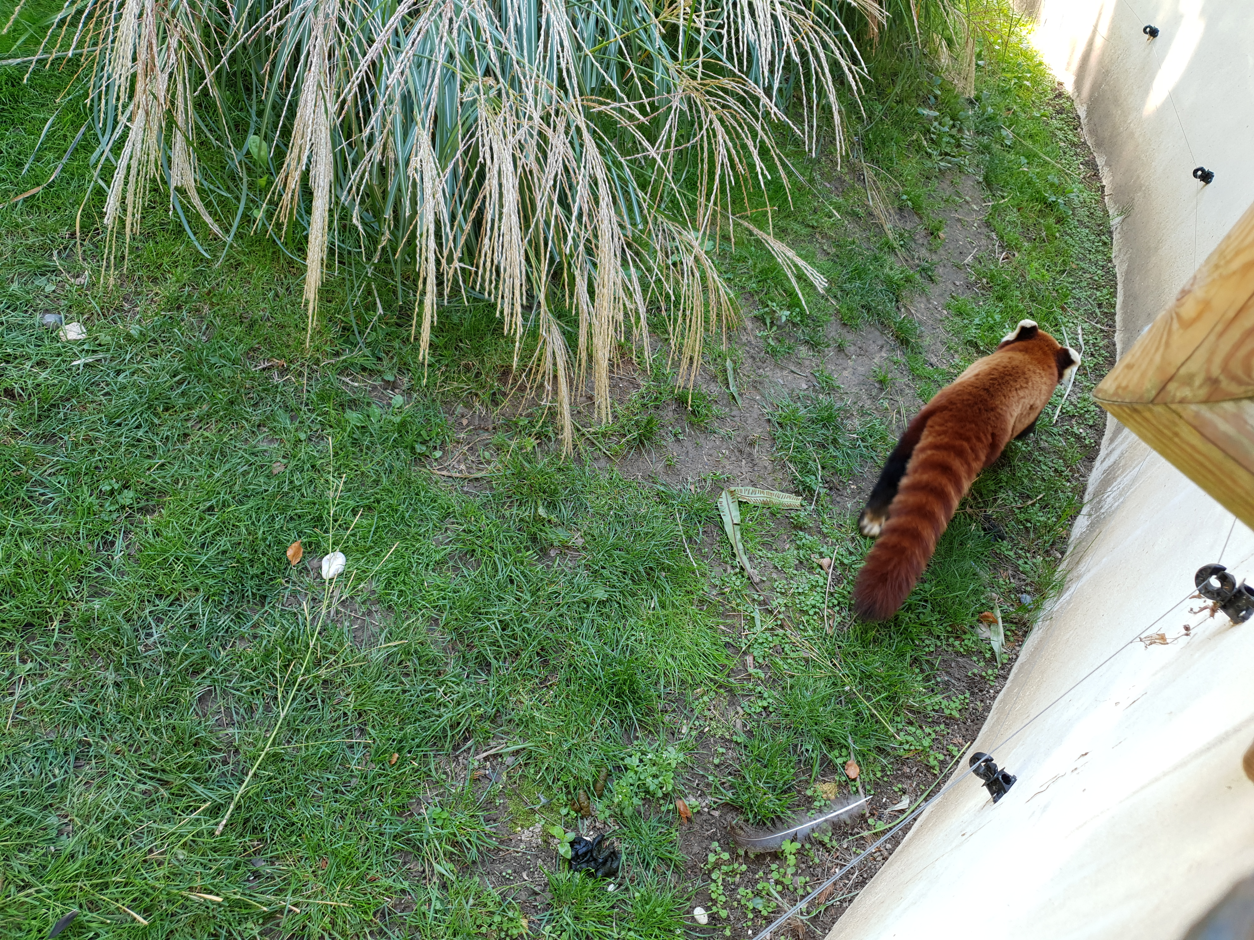 Photo n° 3 de l'avis de Valentin.U fait le 02/09/2018 à 13:58