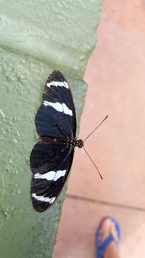 Amusement Center «OdySea in the Desert», reviews and photos, 9500 East Vía de Ventura, Scottsdale, AZ 85256, USA