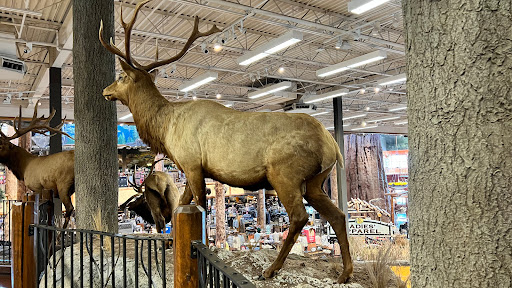 Sporting Goods Store «Bass Pro Shops», reviews and photos, 1356 Bass Pro Dr, Manteca, CA 95337, USA