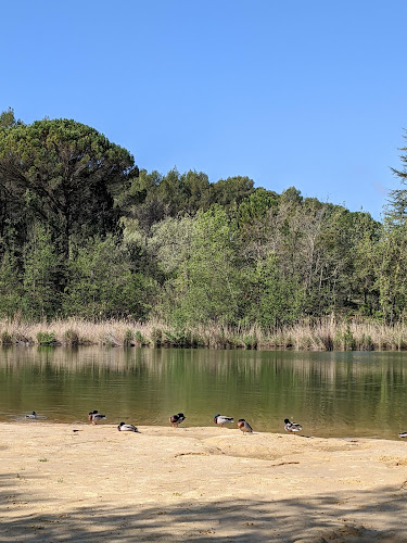 Plan d'eau des Salettes à Mormoiron