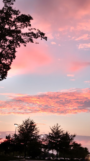 Pet Supply Store «Petco Animal Supplies», reviews and photos, 45205 Worth Ave, California, MD 20619, USA