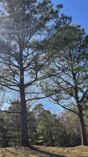 Park «Terramont Park», reviews and photos, 8500 Terramont Dr, The Woodlands, TX 77382, USA