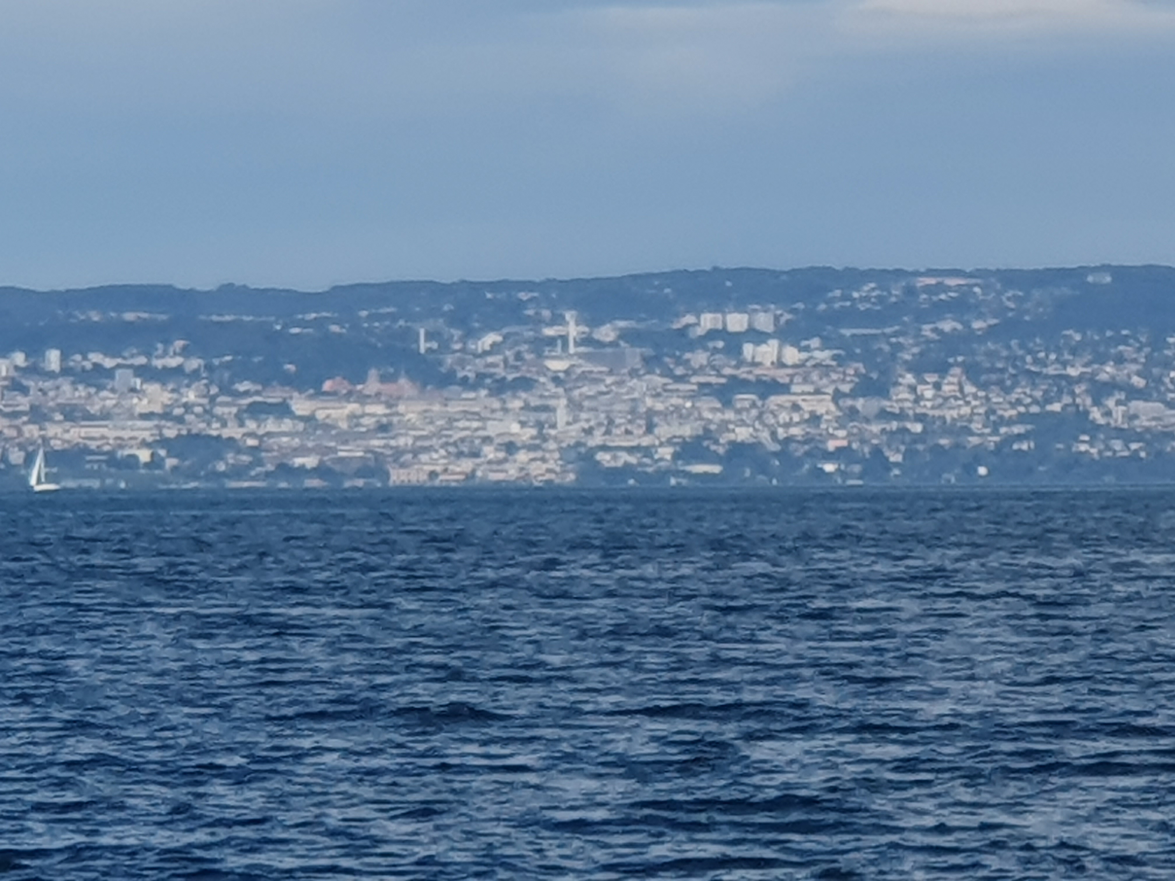 Photo n° 4 de l'avis de colibri.o fait le 24/08/2019 à 12:14