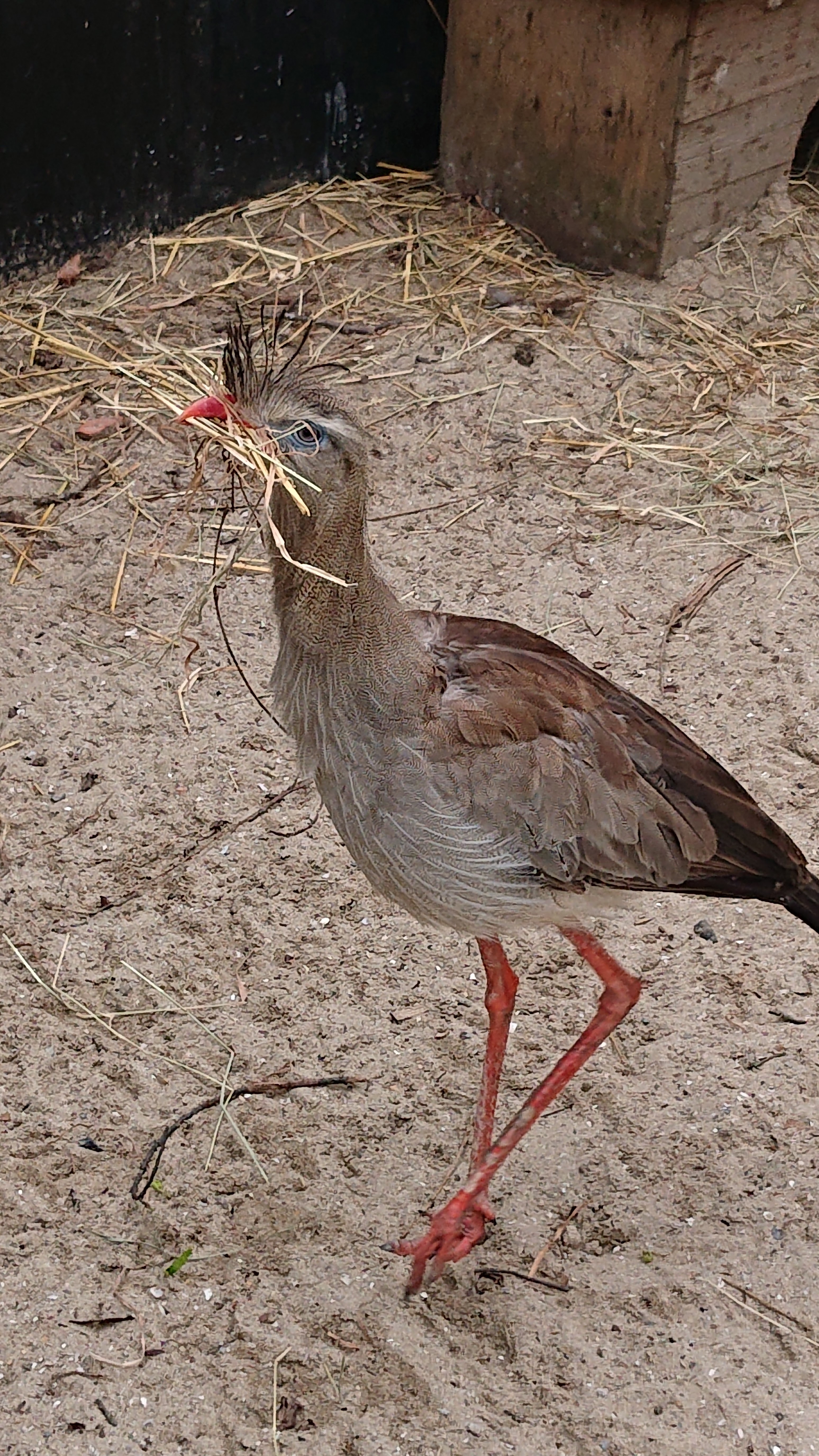Photo n° 5 de l'avis de Otaries.a fait le 26/03/2019 à 09:02