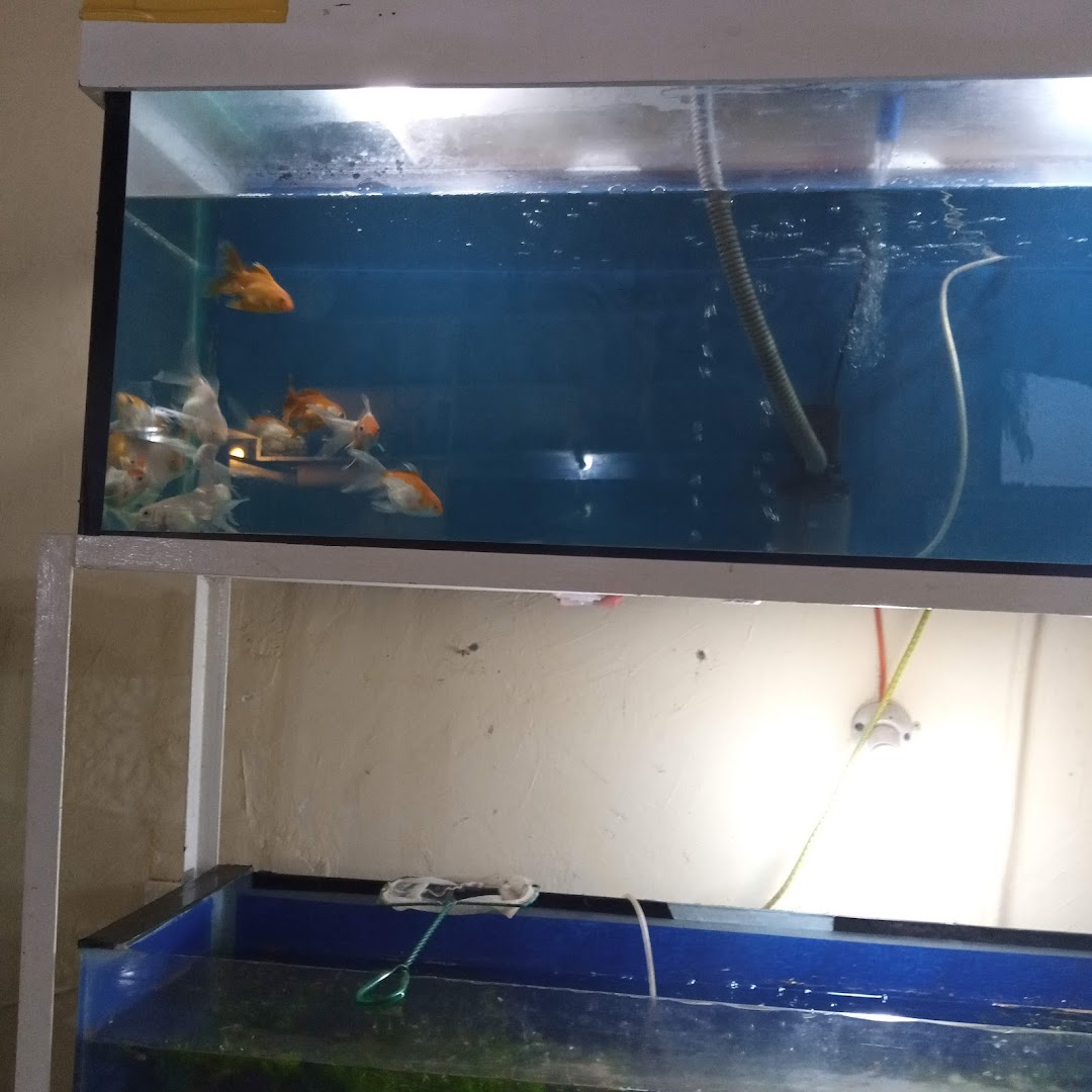 Moro Aquarium Centre