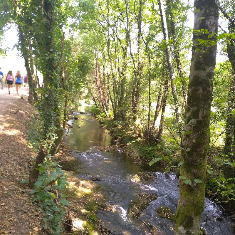Revisões para Parque de Lazer de Nogueira em Braga, Braga