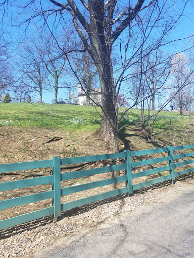 Distillery «Buffalo Trace Distillery», reviews and photos, 113 Great Buffalo Trace, Frankfort, KY 40601, USA