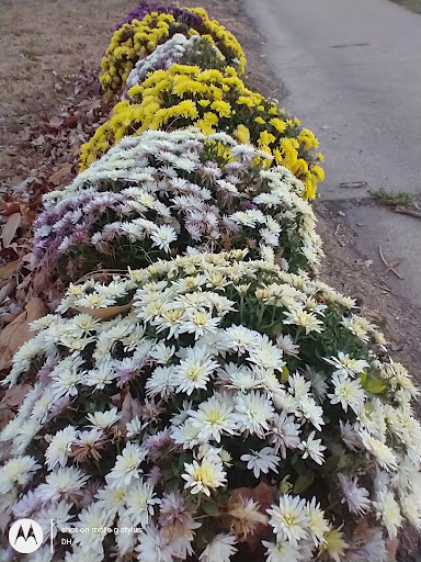 Thrift Store «Second Blessing Thrift Store Inc.», reviews and photos, 2323 Central Ave, Wichita, KS 67214, USA