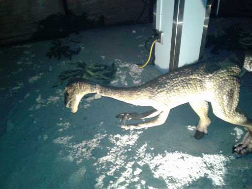 Arena «Scope Arena», reviews and photos, 201 E Brambleton Ave, Norfolk, VA 23510, USA