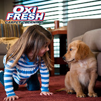 Oxi Fresh Carpet Cleaning - Photo 9 - Car repair in , Killeen