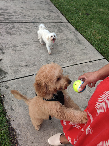 Golf Club «Pompano Beach Golf Shop», reviews and photos, 1101 N Federal Hwy, Pompano Beach, FL 33062, USA