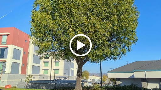 Hampton Inn & Suites Gilroy image
