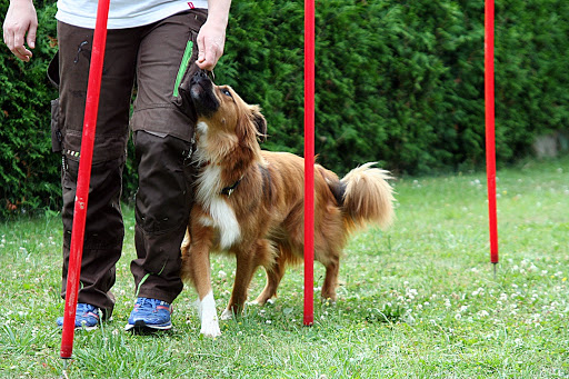 Apollos Physio Resort unter Montabaur, Rheinland-Pfalz