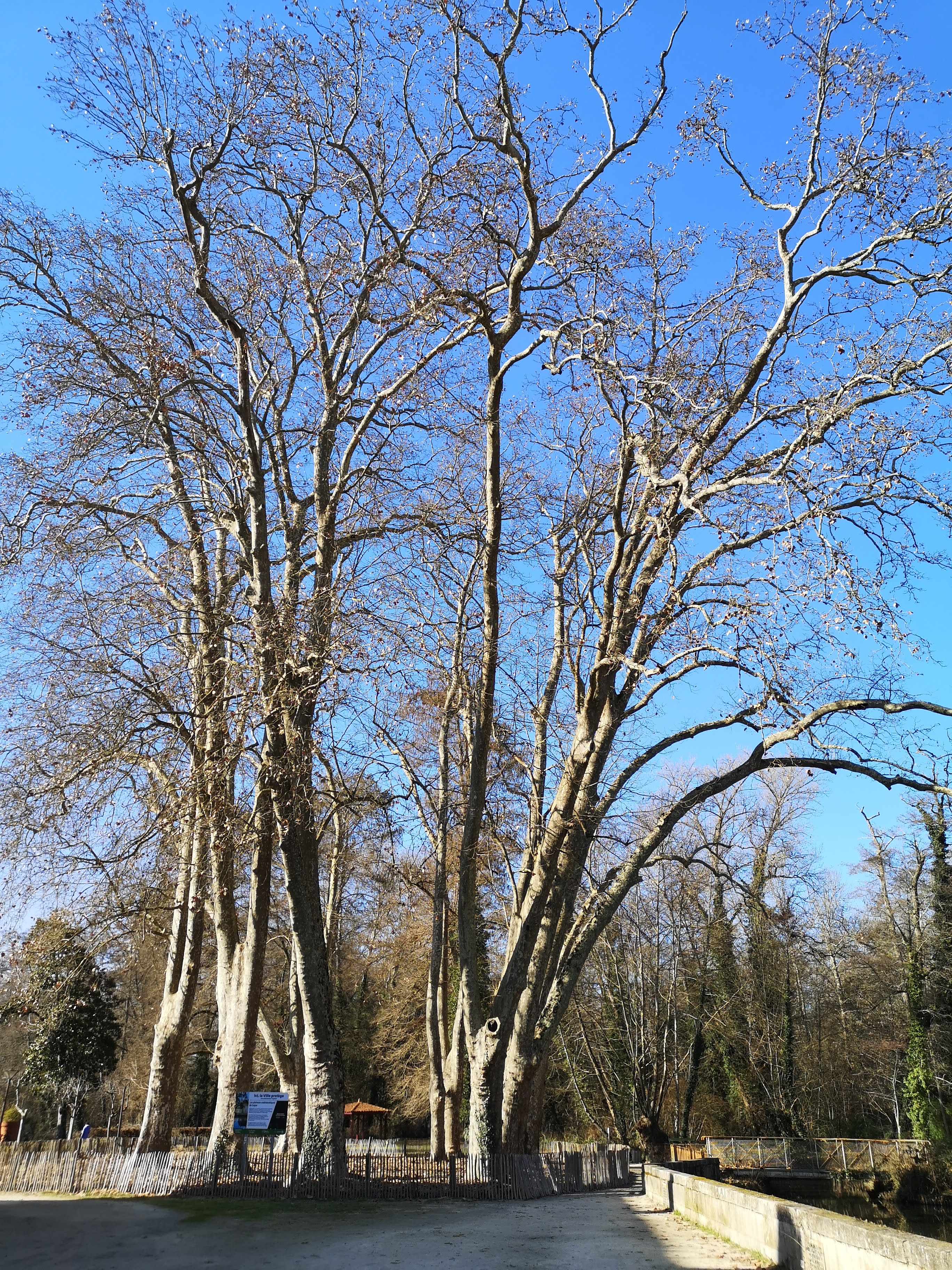 Photo n° 4 de l'avis de Chris.l fait le 10/02/2023 à 07:33