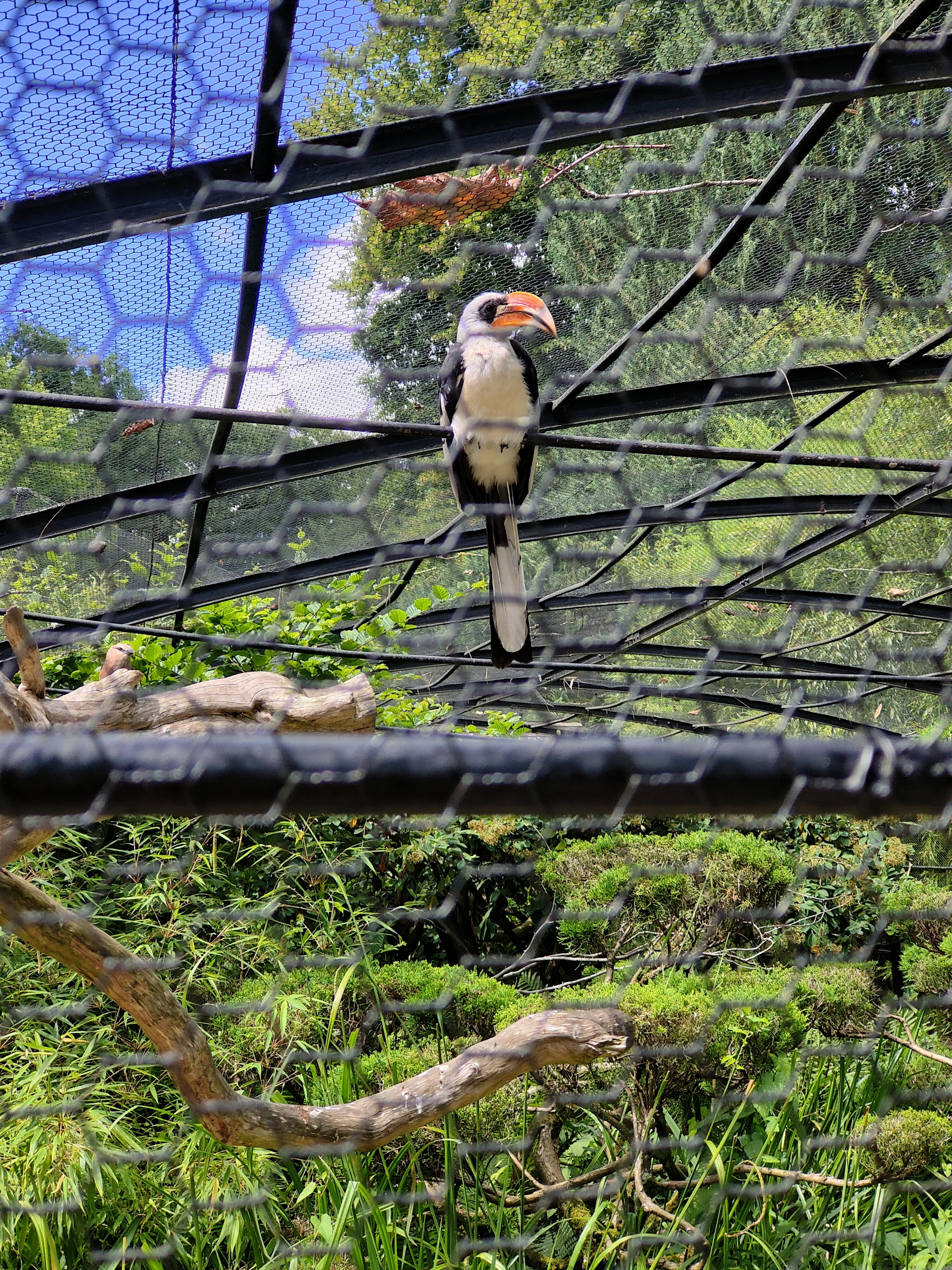 Photo n° 7 de l'avis de Claude.a fait le 03/08/2023 à 20:56