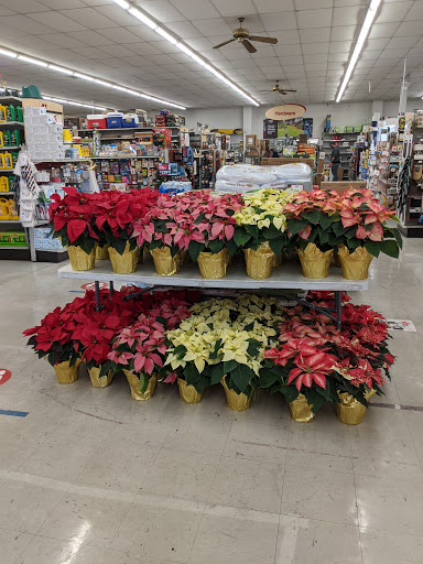 Hardware Store «Antioch Ace Hardware», reviews and photos, 501 Sunset Dr, Antioch, CA 94509, USA