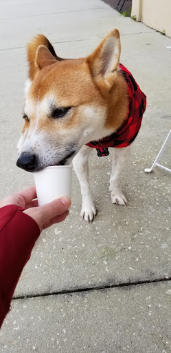 Coffee Shop «Palate Coffee Brewery», reviews and photos, 105 W 2nd St, Sanford, FL 32771, USA