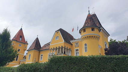 Georgi Schloss