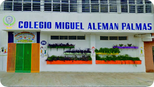 Colegio Miguel Alemán Palmas