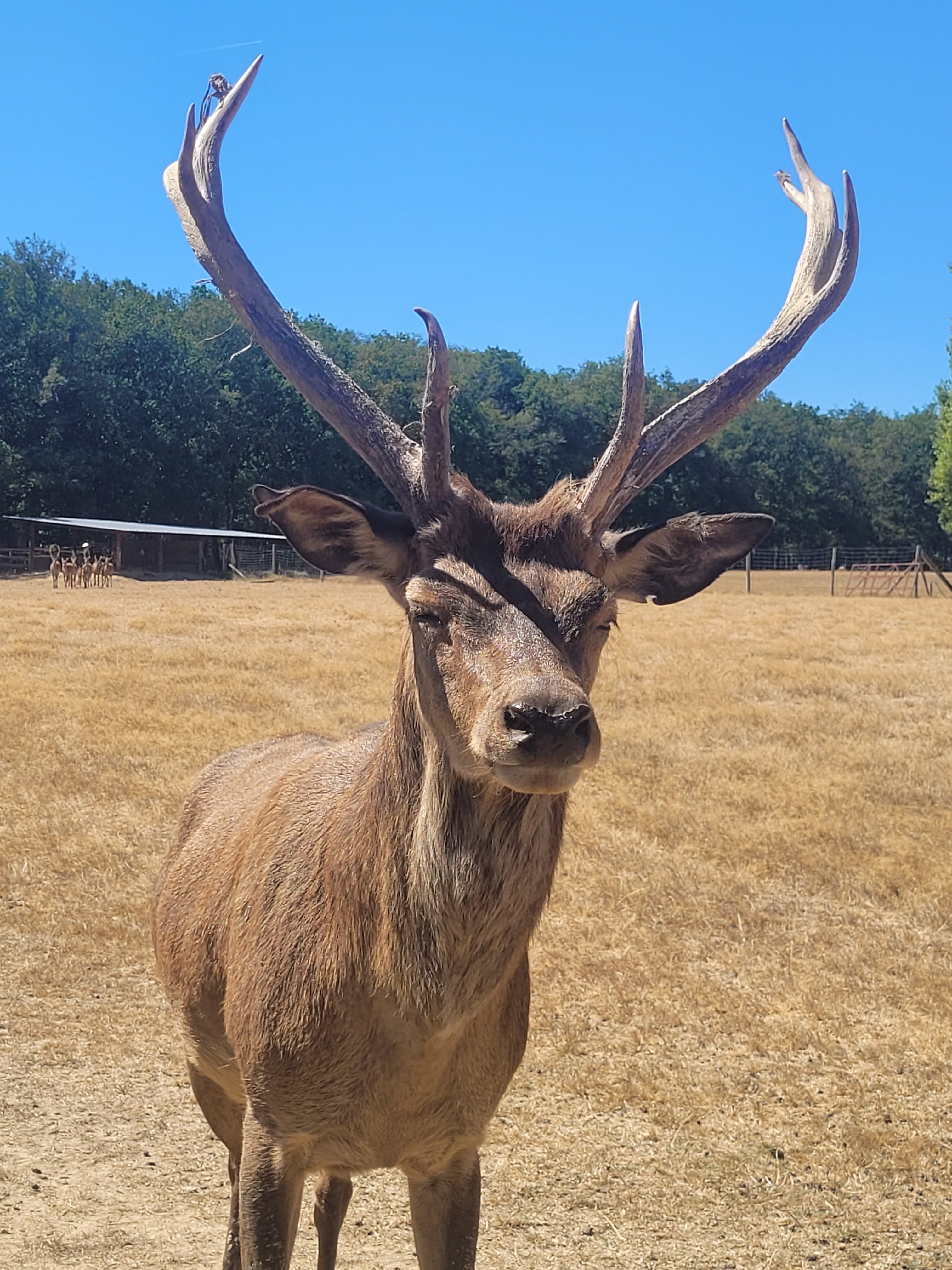 Photo n° 3 de l'avis de Angélique.. fait le 08/08/2022 à 08:36