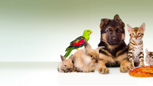 13492 Telegraph Rd, Whittier, CA 90605, USA