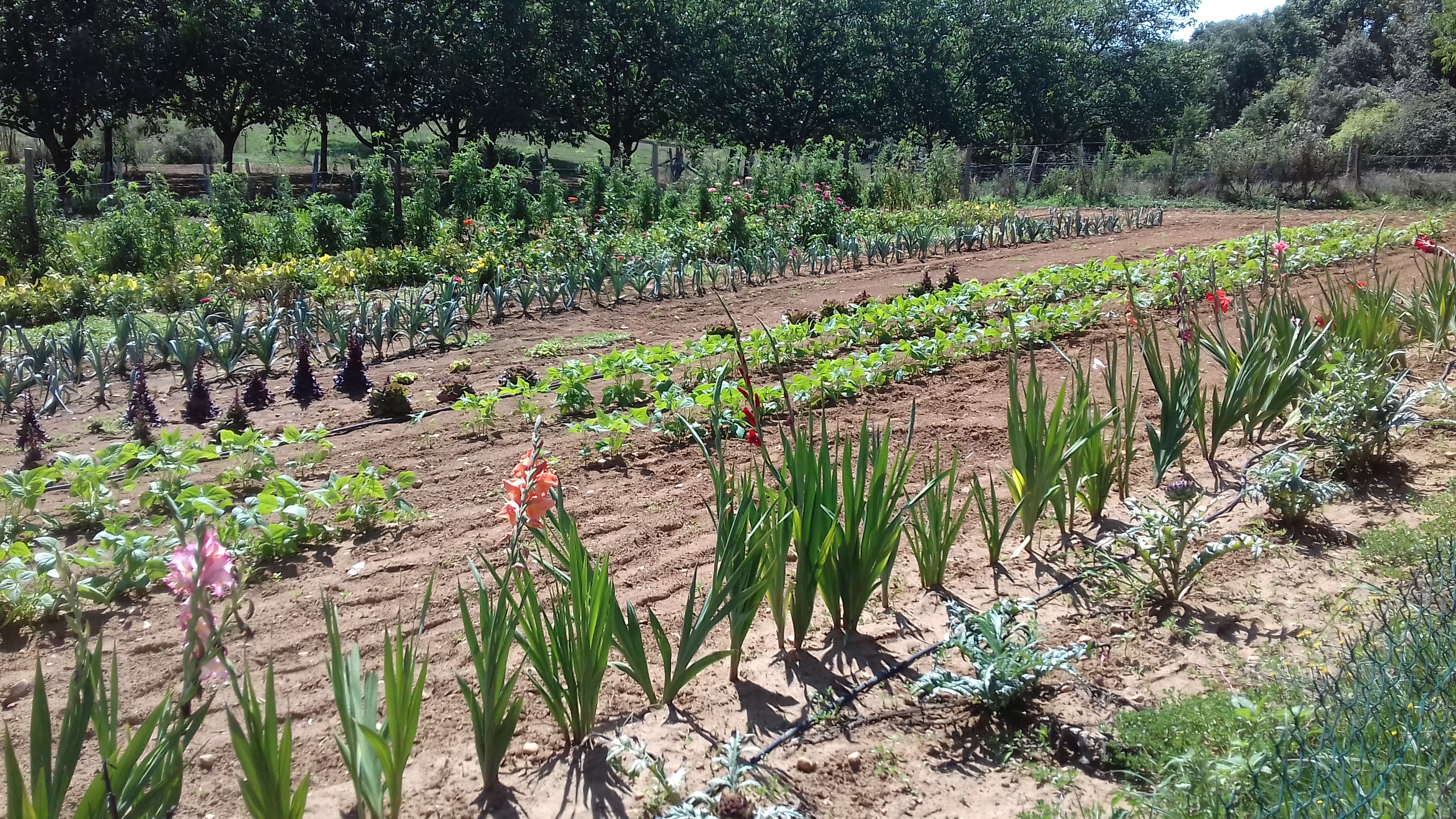Photo n° 8 de l'avis de Grany.c fait le 16/08/2019 à 10:54