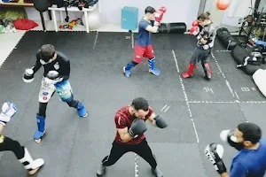 MMM Adrenalina MMA image