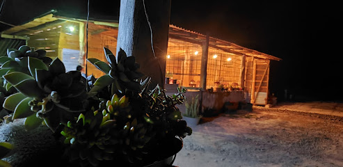 Campestre El Nahual - 69563 Refugio de Morelos, Oaxaca, Mexico