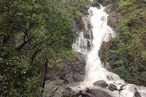 Tambdi Surla Waterfalls image