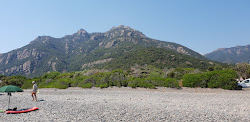 Spiaggia di Coccorocci'in fotoğrafı doğal alan içinde bulunmaktadır