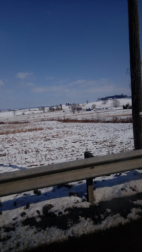 Nature Preserve «Sadsbury Woods Preserve», reviews and photos, Ramblewood Dr & Northwood Dr, Coatesville, PA 19320, USA