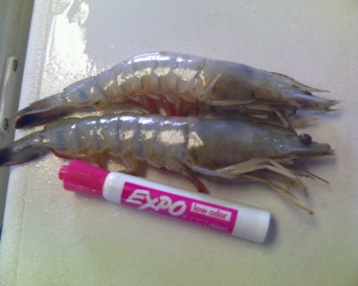 Seafood Market «Fulton Harbor Bait & Seafood», reviews and photos, 250 Deforest Loop, Fulton, TX 78358, USA