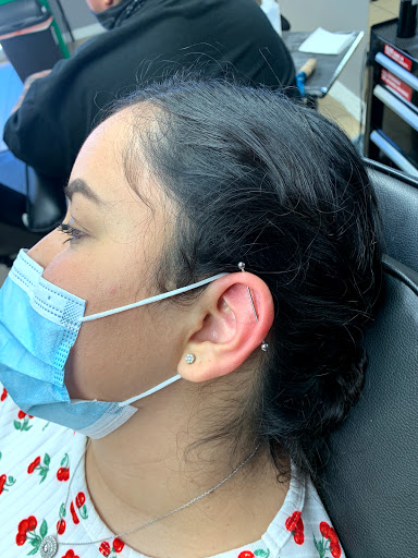 Explore mustang tattoo ideas, creative tattoo ideas in San Diego, available at High Class Tattoo SD