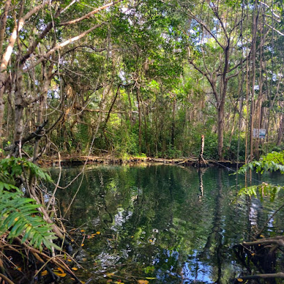 Cenote Elepetén / Ojo de Agua