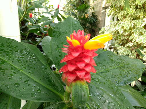 Performing Arts Theater «Benaroya Hall», reviews and photos, 200 University St, Seattle, WA 98101, USA